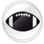 Calcomanías Pro-Tuff Helmet Award Sticker