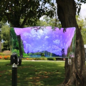 Pro Football Clear Purple Visir