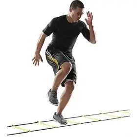 Adjustable Speed Ladders