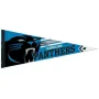 Carolina Panthers Premium Roll & Go Pennant 12" x 30"