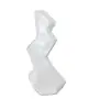 Riddell SpeedFlex Gesichtsschutz