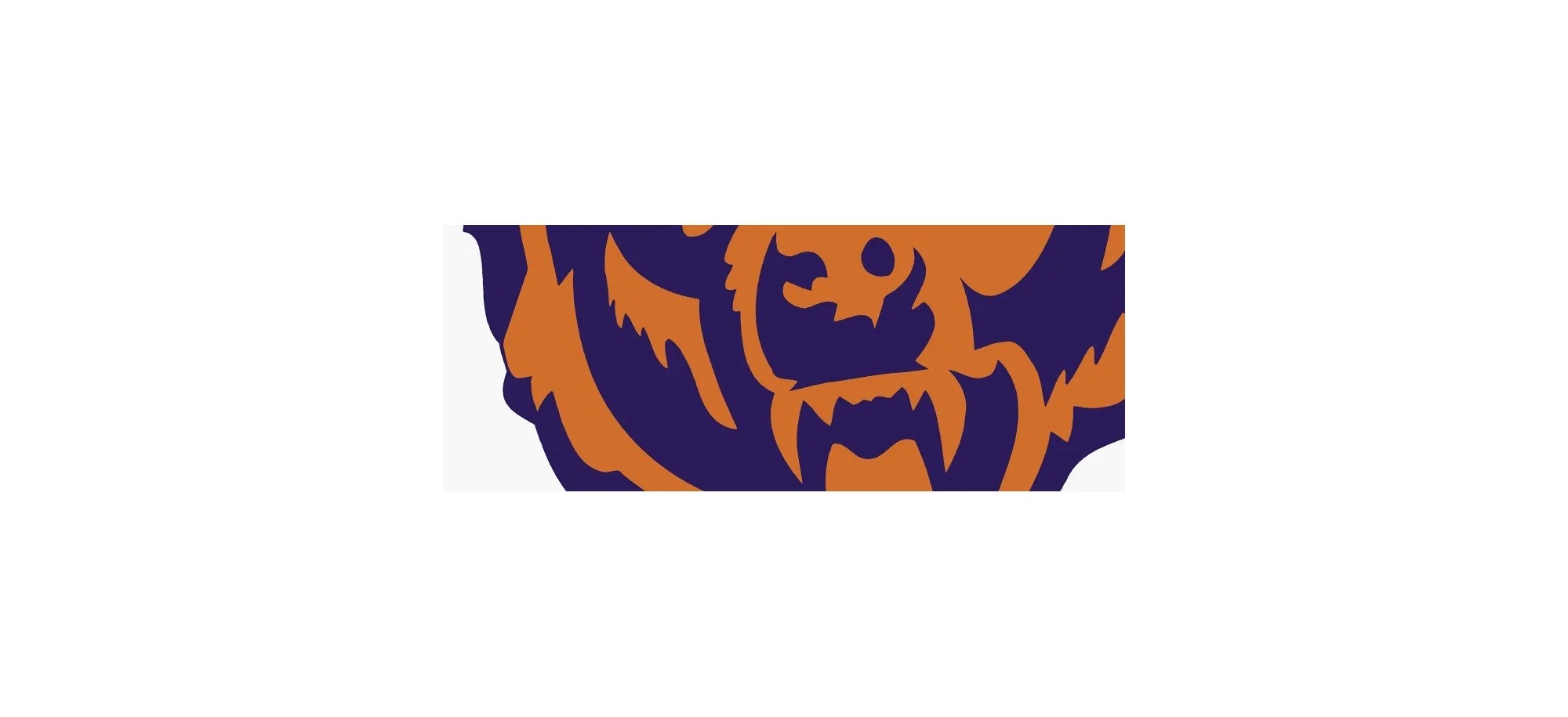 Liquidation Chicago Bears