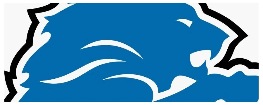 Clearance Detroit Lions