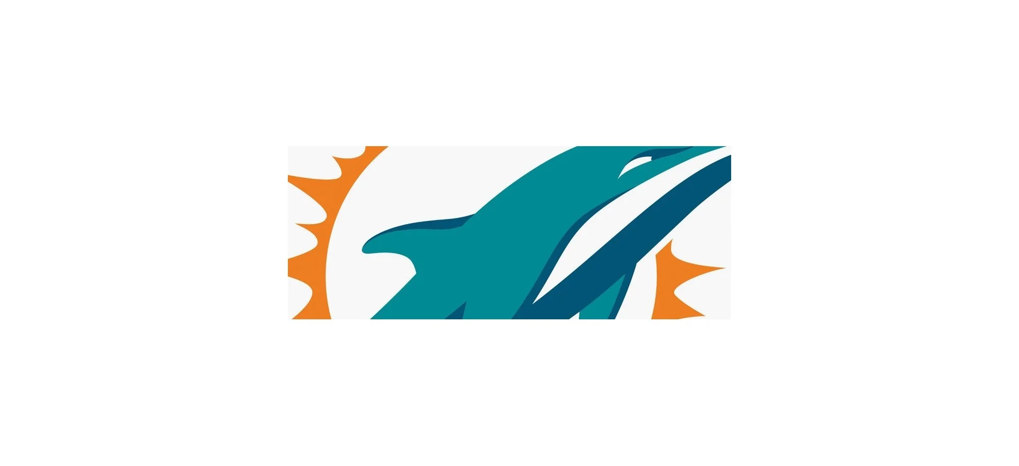 Rensning Miami Dolphins